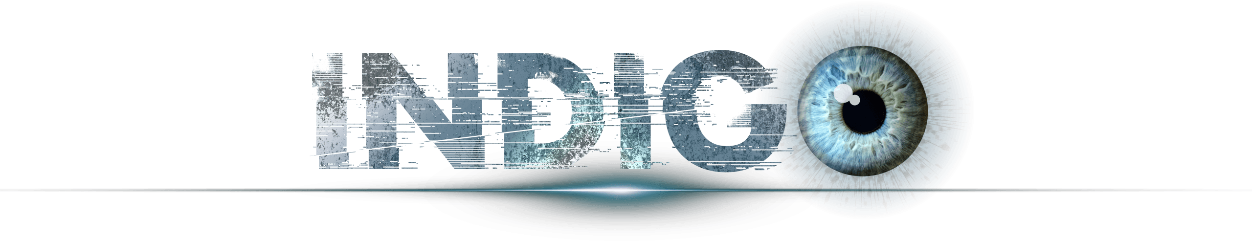 LOGO INDIGO