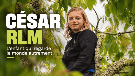 MINIATURE ARTICLE CESAR RLM