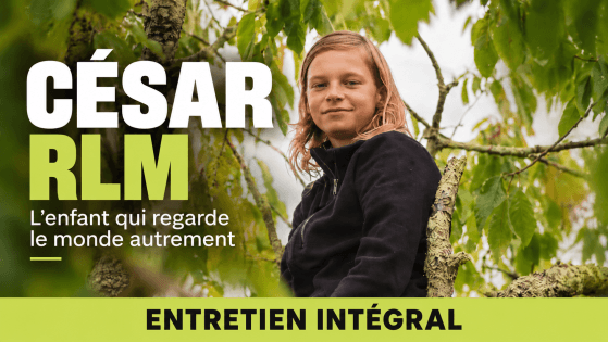 MINIATURE ENTRETIEN CESAR RLM